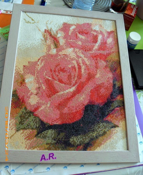 Les roses 